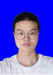 探花系列