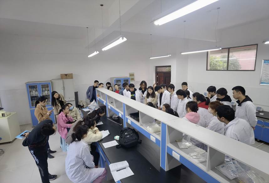 探花系列