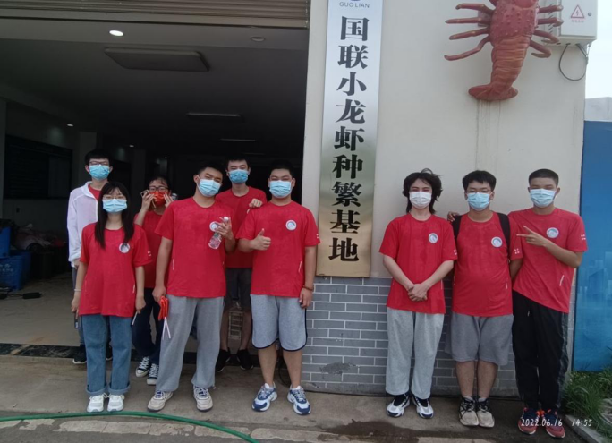 探花系列