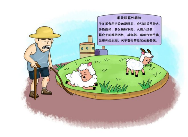 探花系列