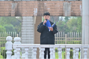 探花系列