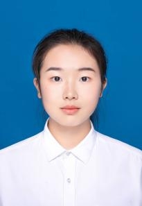 探花系列
