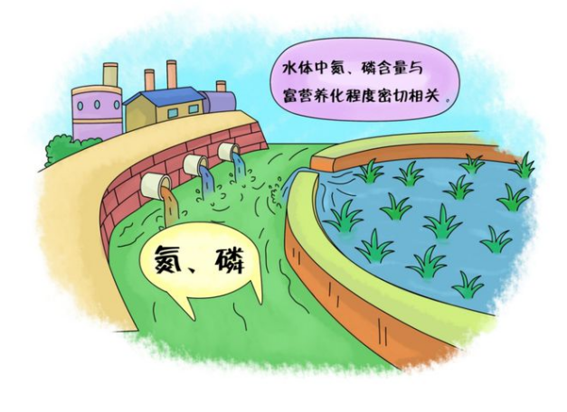 探花系列