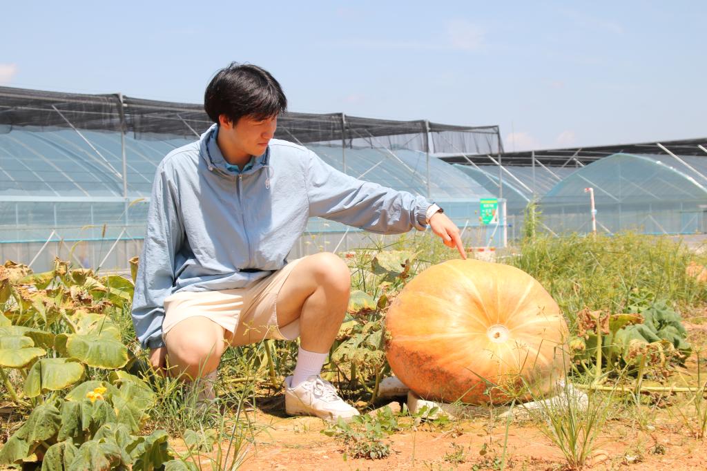 探花系列