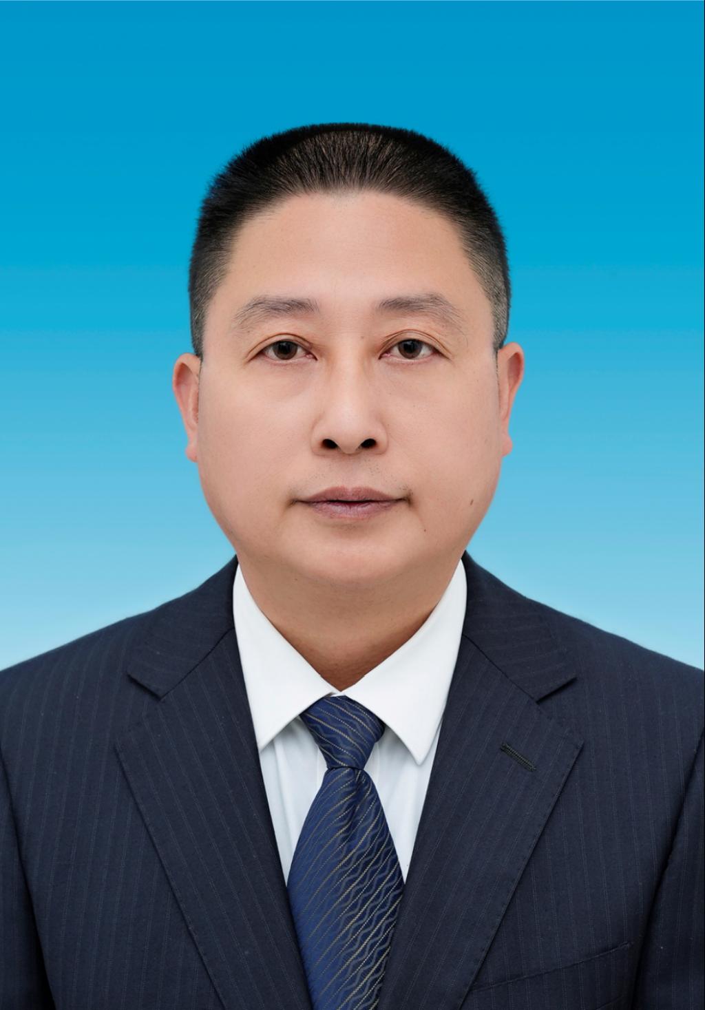 探花系列