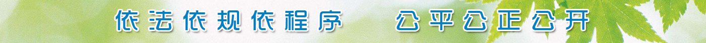 依法依规依程序，公平公正公开